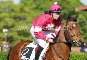 Kategorie: Avenches, 14.4.2014 (S.Schär)